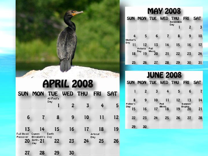 April, May, June 2008 calendar. Comarant standing on the smaller Pikes Bay island.