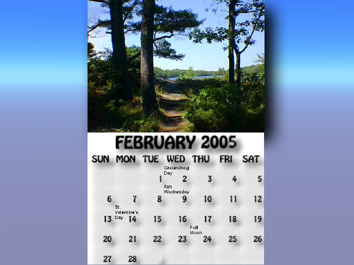 February 2005 calendar. Path between trees on McCrae Island.