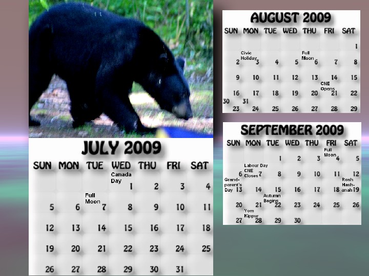 July, August, September 2009 calendar. In a campsite south of Sandy Point. 