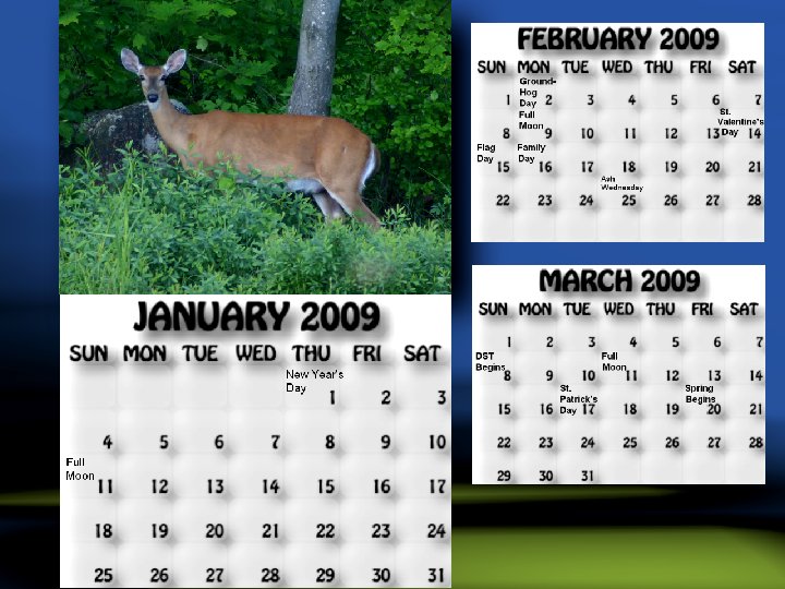 January, February, March 2009 calendar. Deer Camper. 