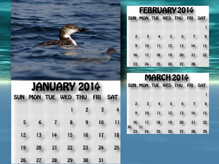 January, February, March 2014 calendar