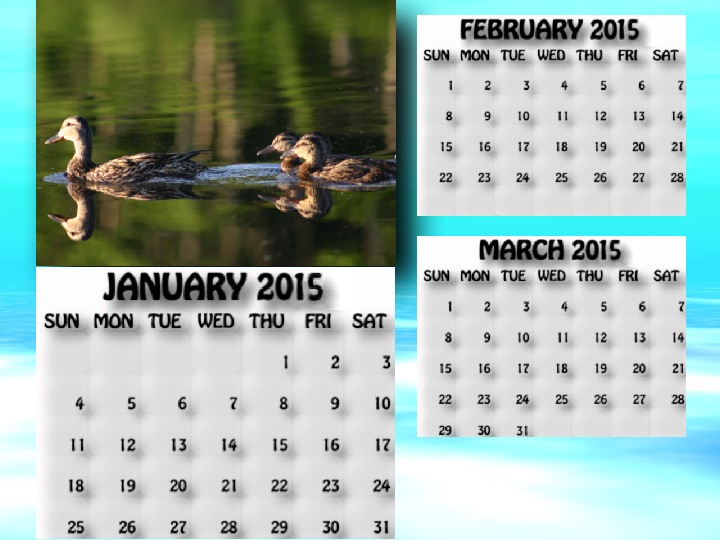 January, February, March 2015 calendar