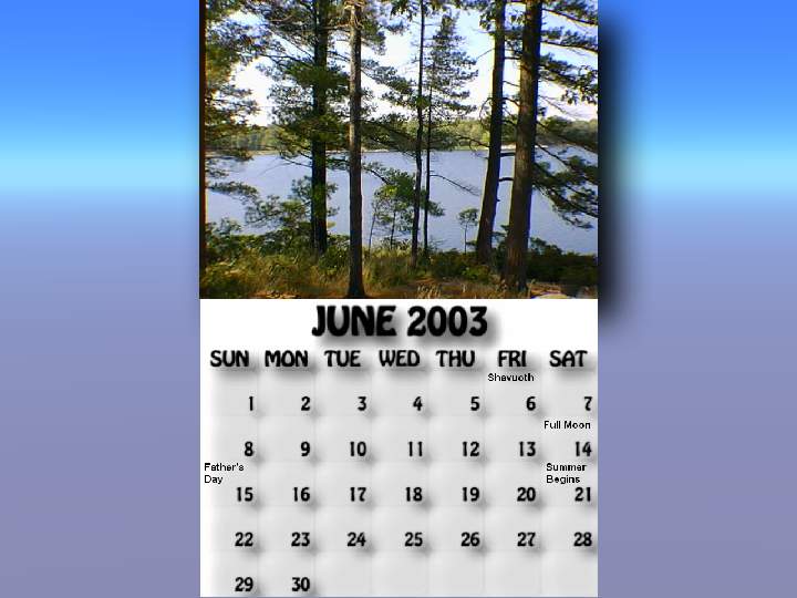 June 2003 calendar. Looking between the trees at the north end of McCrae Island.