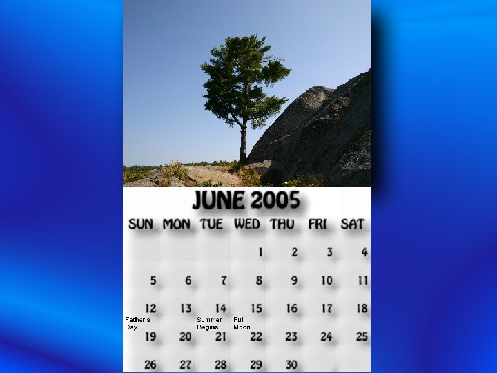 June 2005 calendar. The tree on Elephant Rock.