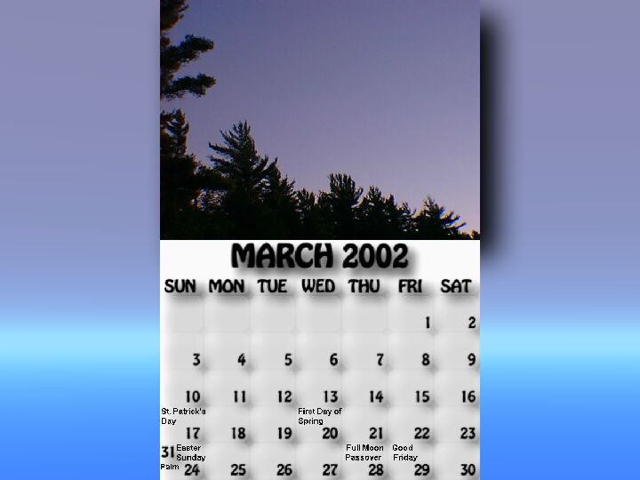 March 2002 calendar. Treetops silhouetted against the night sky in the Pikes Bay area.