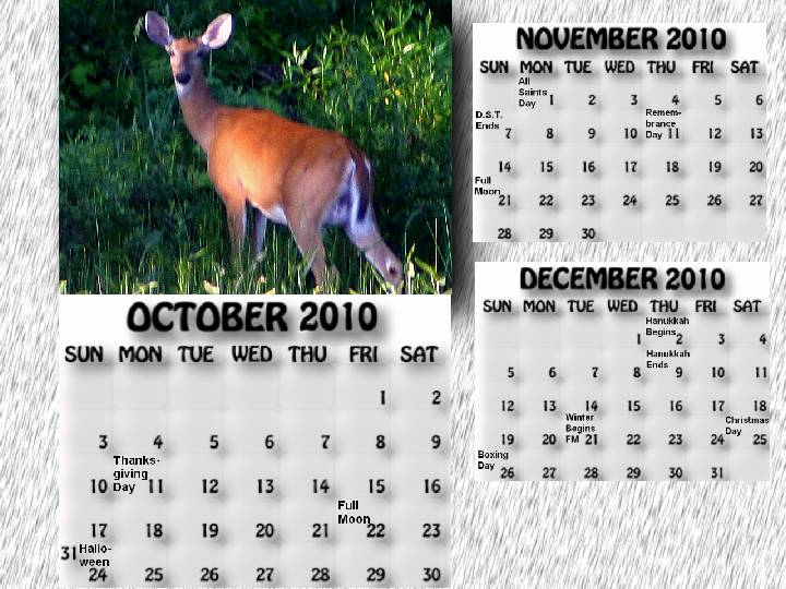 October, November, December 2010 calendar. A deer standing beside McCrae Lake 
