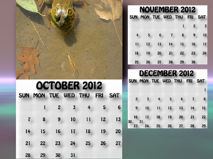 October, November, December 2012 calendar