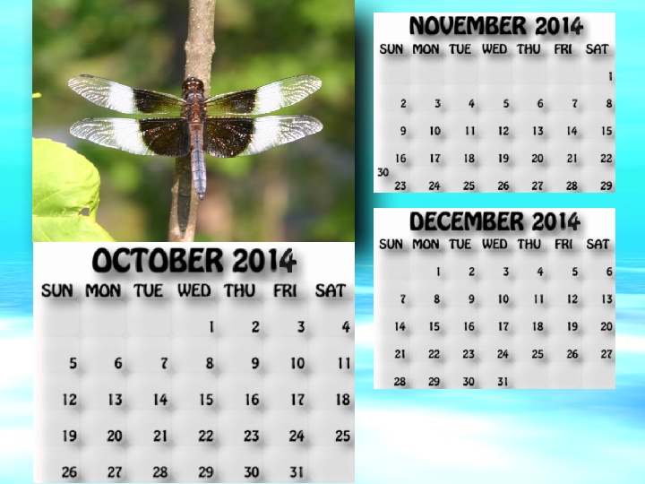 October, November, December 2014 calendar