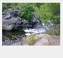 rapids3.jpg 640x480