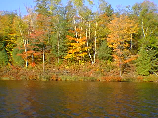 McDonald Lake shoreline northwest of the portage trail.