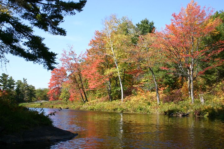 McDonald River close to McCrae Lake Autumn scene