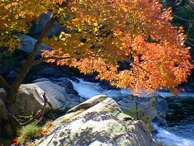 No longer exists because of the Baxter snowmobile club.