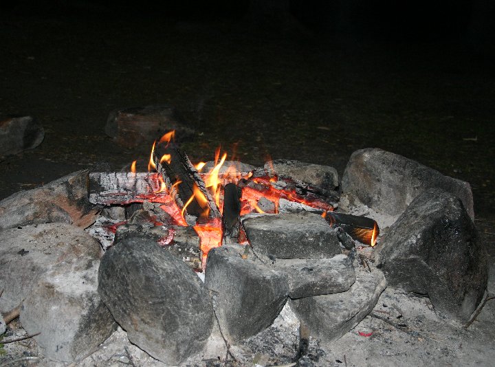 burining wood in fireplace