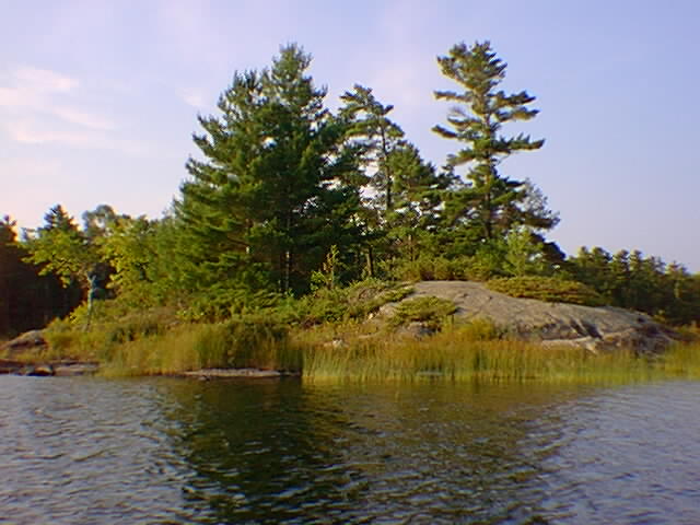 The north side of the larger of the two Pikes Bay Islands.