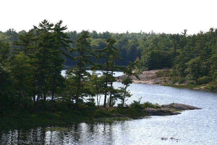 Northeast arm of McCrae Island