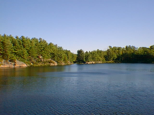 A gust of wind sweeps across McDonald Lake.