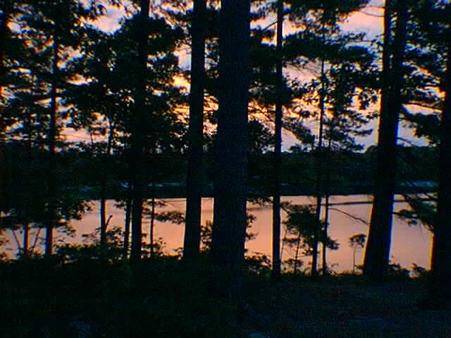 McCrae island night scene