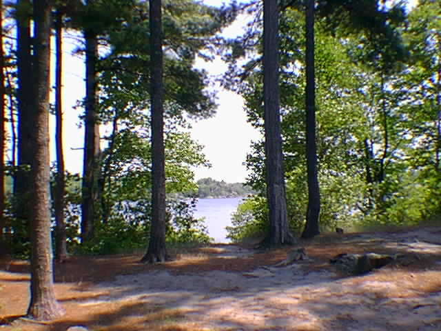 A nice spot to pitch a tent on Sandy Point.