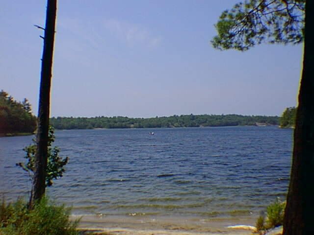 Look out from Sandy Point and see Pikes Bay.
