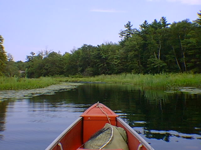 The McDonald River around the corner from McCrae Lake.