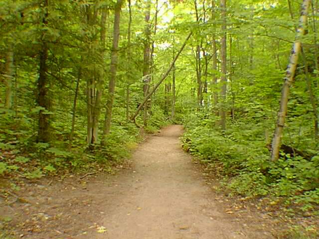 The portage trail.