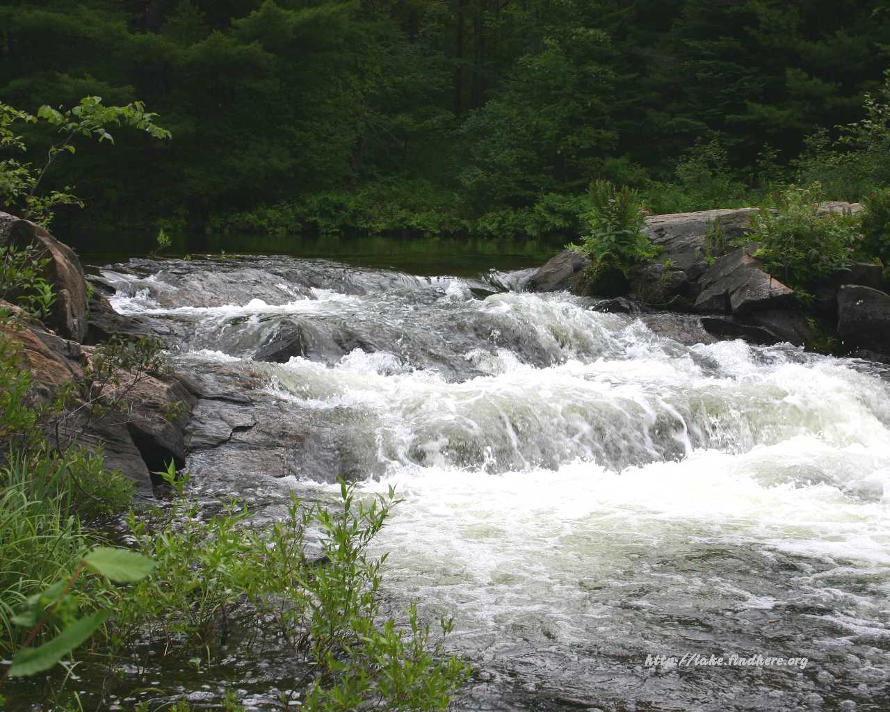 McDonald River near the dam east of the highway.